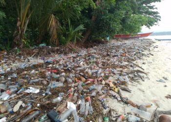 Tumpukan Sampah Cemari Pulau Lemon